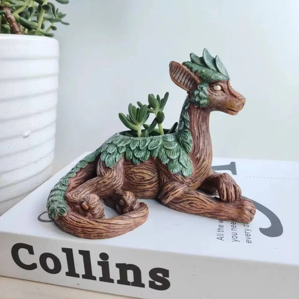 Dragon Tree Planter