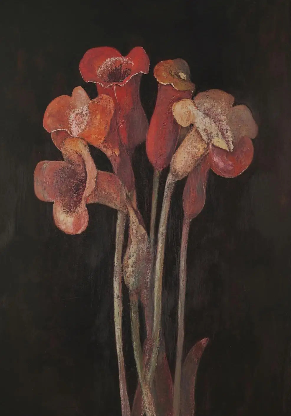 Surreal Skull Botanical Poster