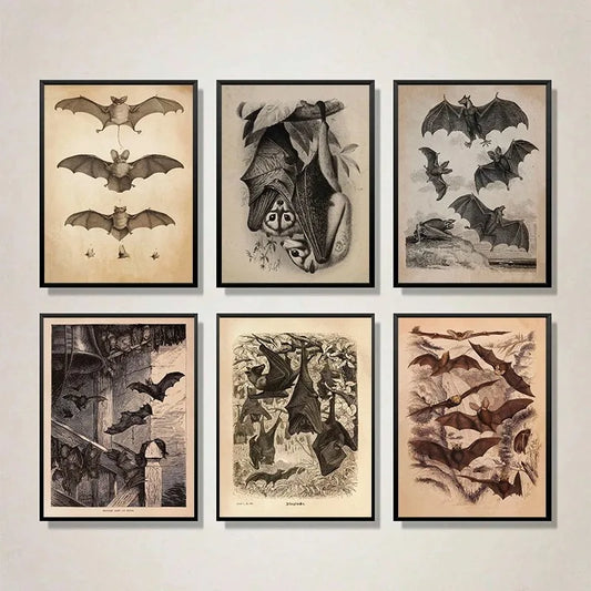 Nocturne Specimens
