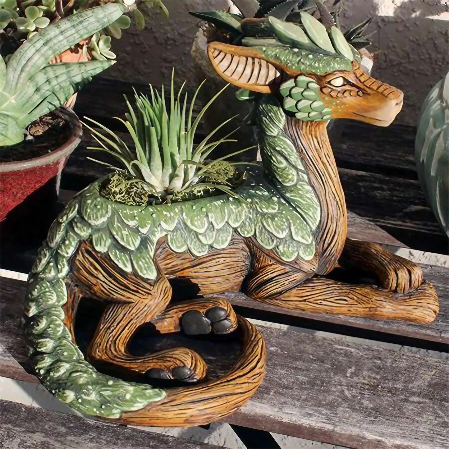 Dragon Tree Planter
