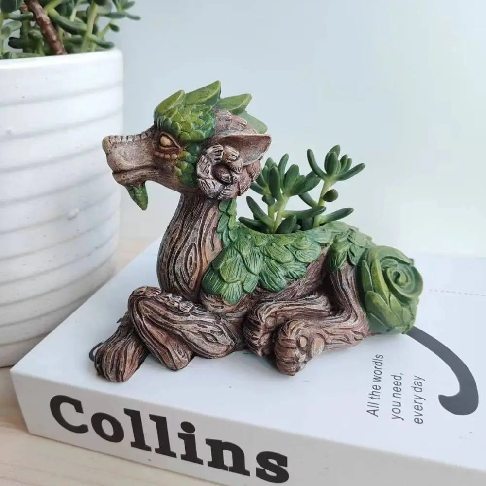 Dragon Tree Planter