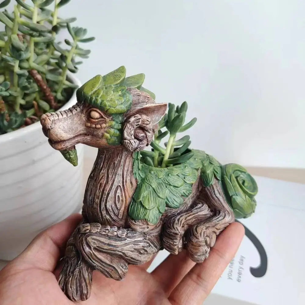 Dragon Tree Planter